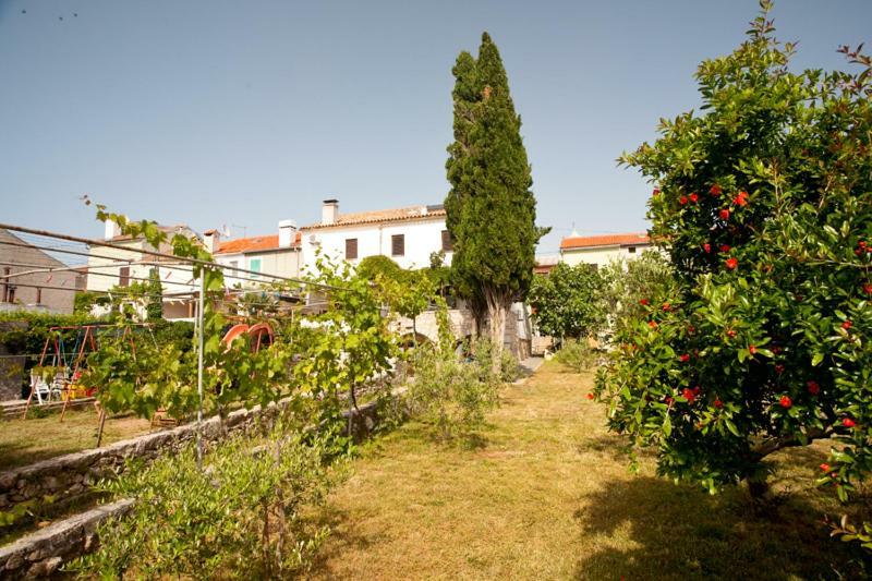 Pape Punat Apartmani I Sobe Exterior foto